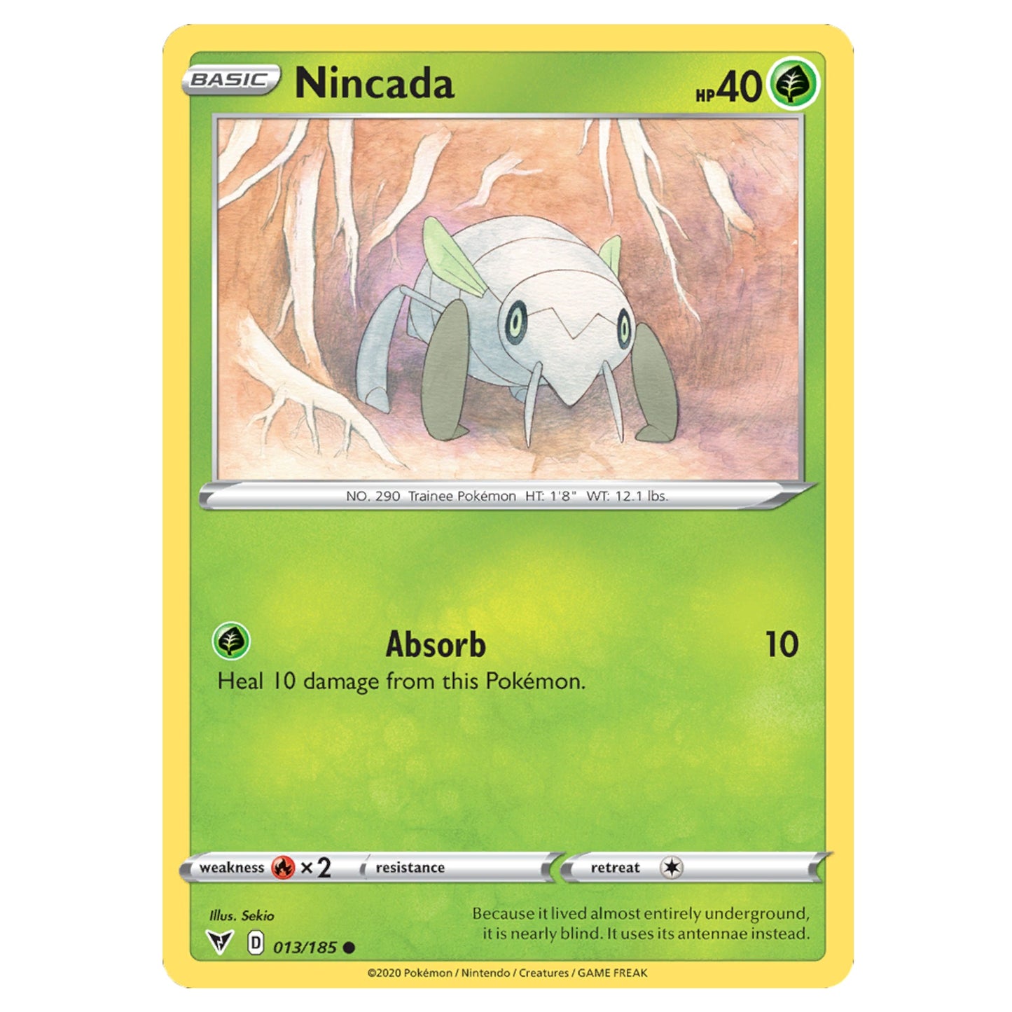 Pokémon Nincada #13